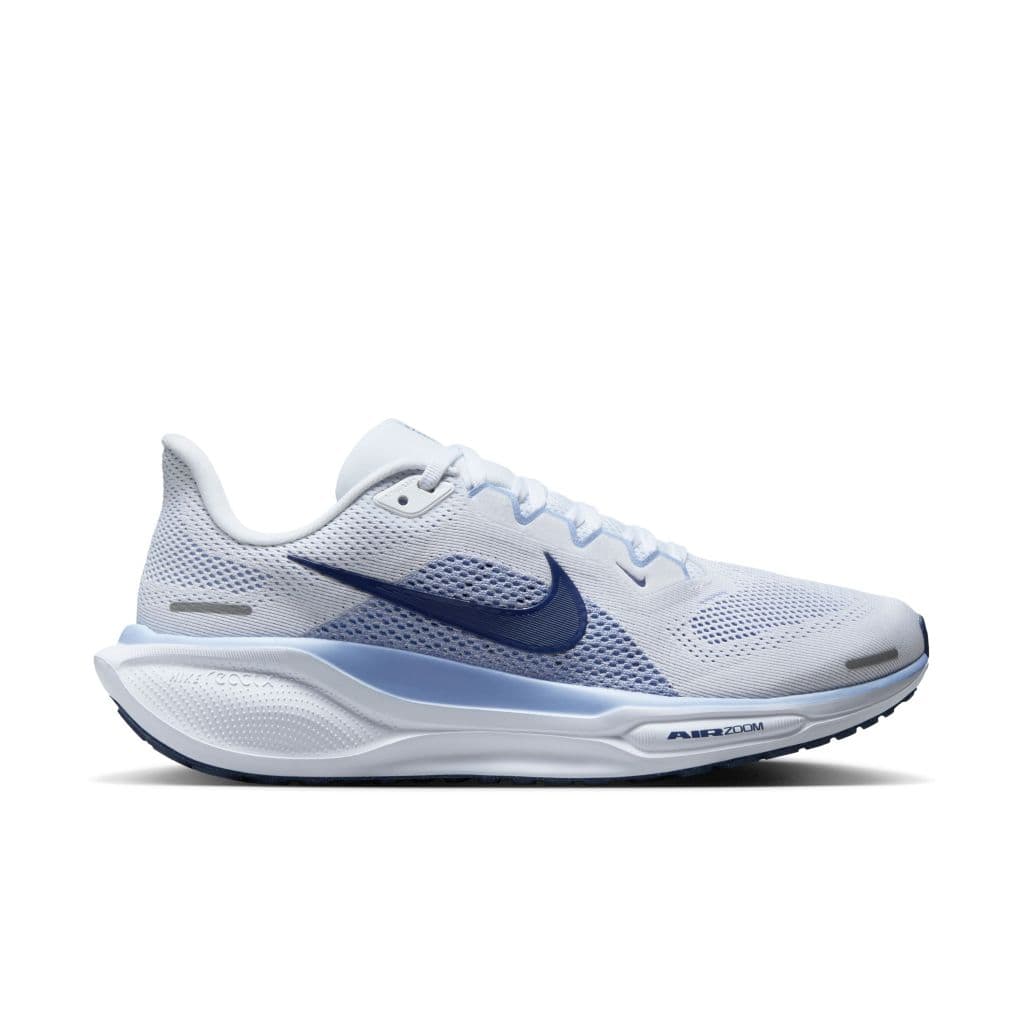 Pegasus 41