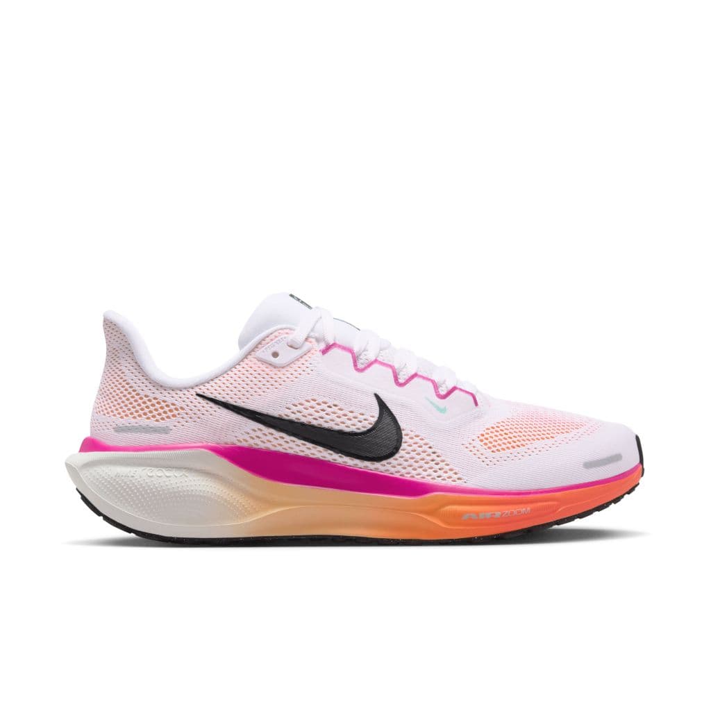 Pegasus 41