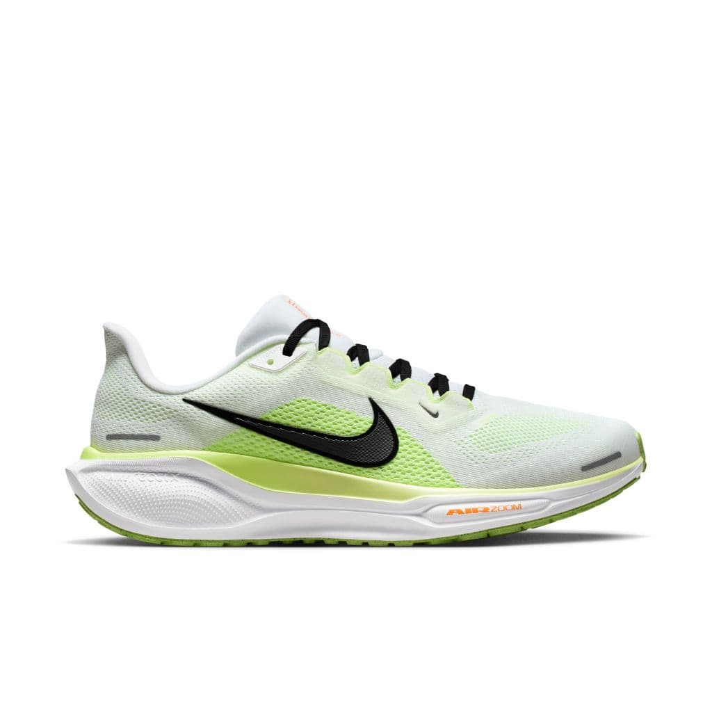 Pegasus 41