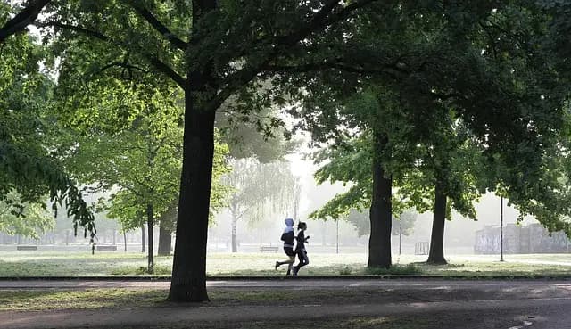 Comment Élever Votre Technique de Course pour Progresser