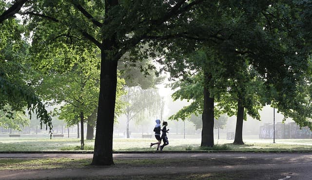 5 Exercices Indispensables pour Élever Votre Endurance